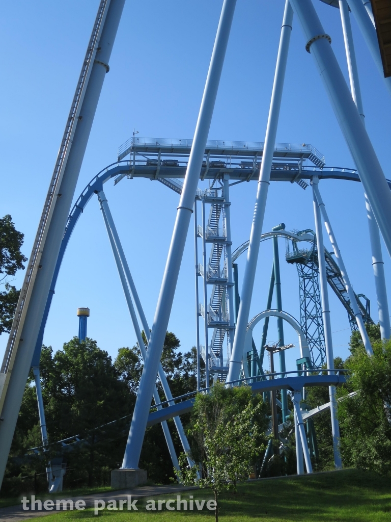 Griffon at Busch Gardens Williamsburg