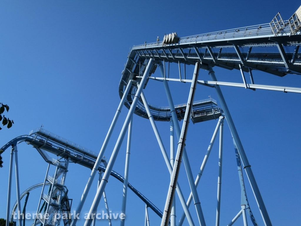 Griffon at Busch Gardens Williamsburg