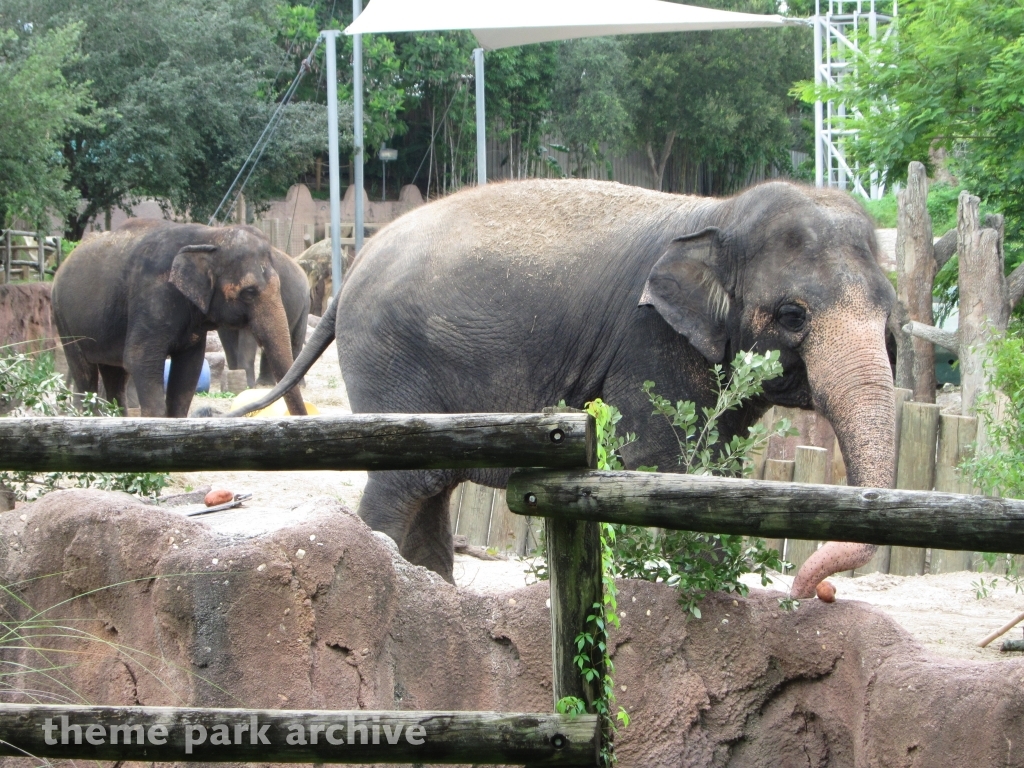 Nairobi at Busch Gardens Tampa