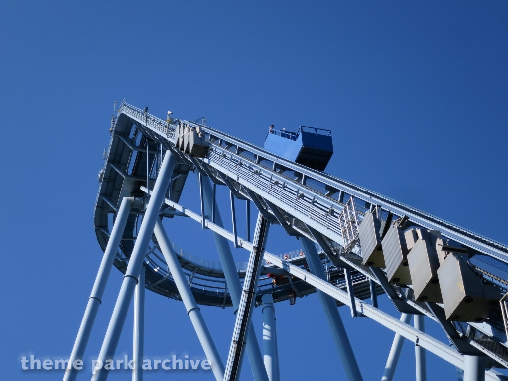 Griffon at Busch Gardens Williamsburg