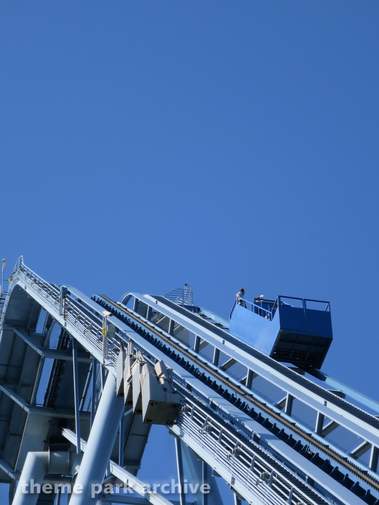 Griffon at Busch Gardens Williamsburg