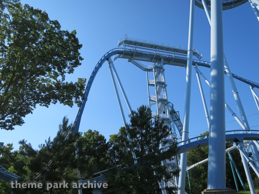 Griffon at Busch Gardens Williamsburg