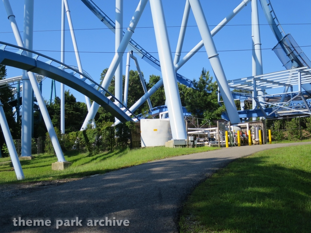 Griffon at Busch Gardens Williamsburg
