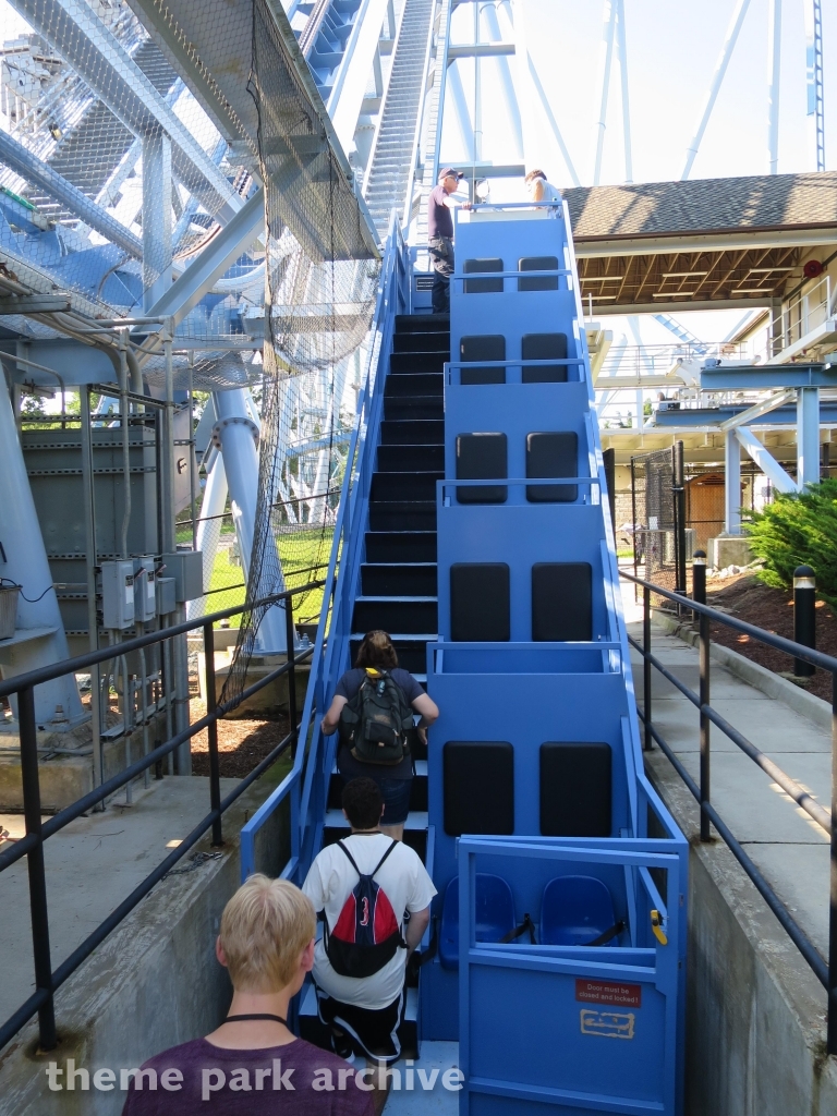 Griffon at Busch Gardens Williamsburg
