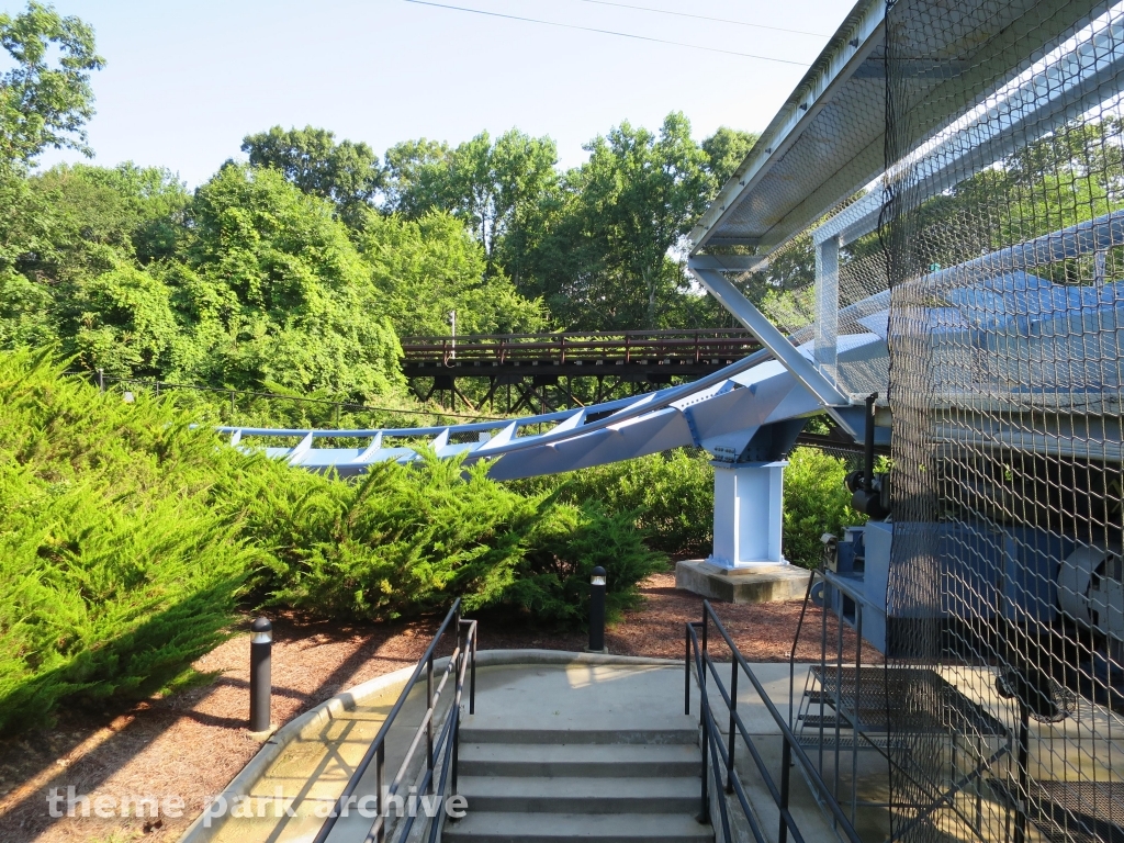 Griffon at Busch Gardens Williamsburg