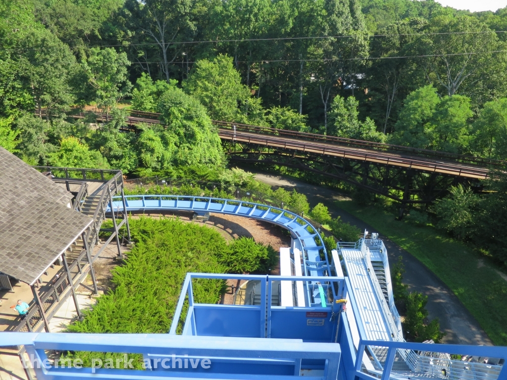 Griffon at Busch Gardens Williamsburg