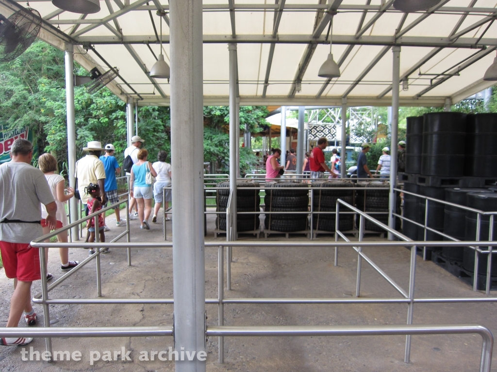 Rhino Rally at Busch Gardens Tampa