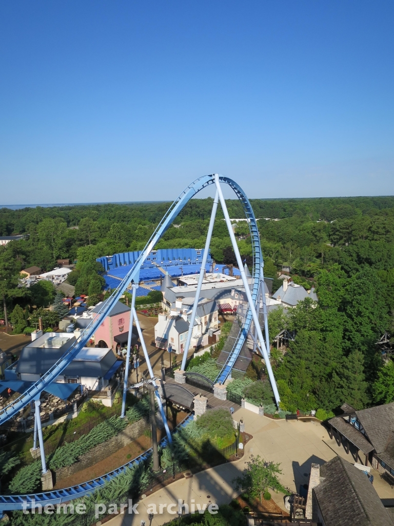 Griffon at Busch Gardens Williamsburg