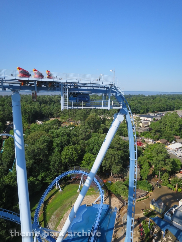 Griffon at Busch Gardens Williamsburg