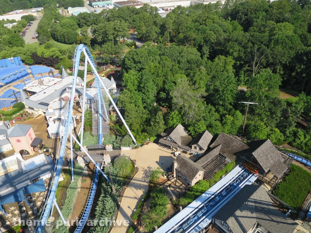 Griffon at Busch Gardens Williamsburg