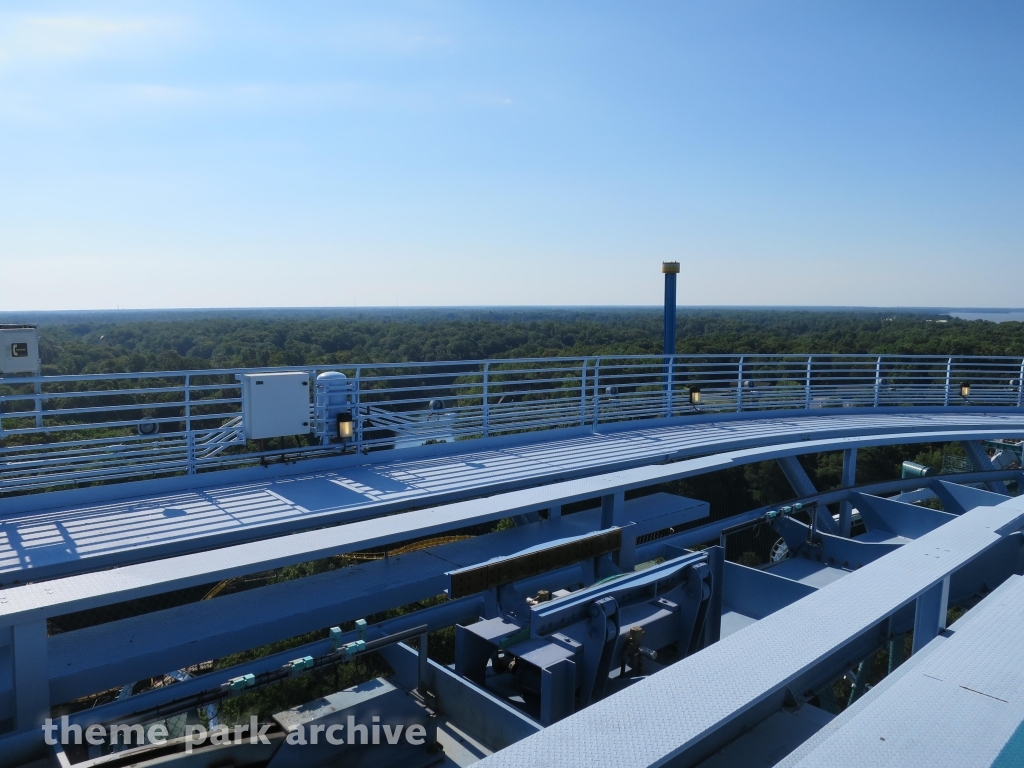 Griffon at Busch Gardens Williamsburg