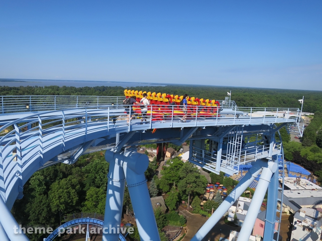 Griffon at Busch Gardens Williamsburg