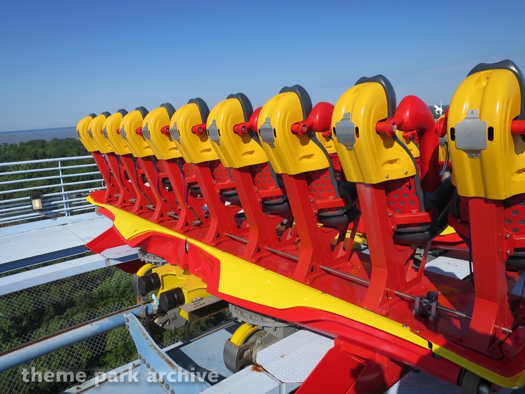 Griffon at Busch Gardens Williamsburg