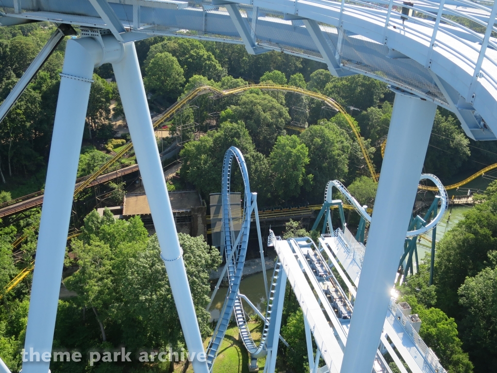 Griffon at Busch Gardens Williamsburg