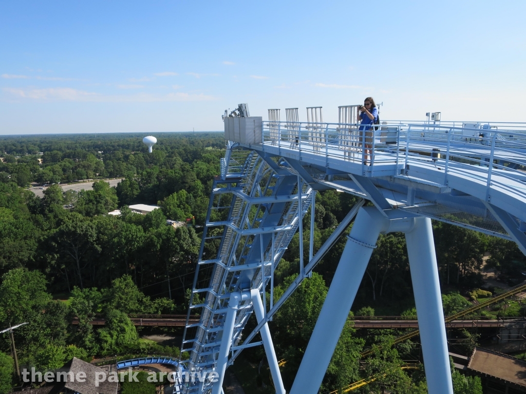Griffon at Busch Gardens Williamsburg