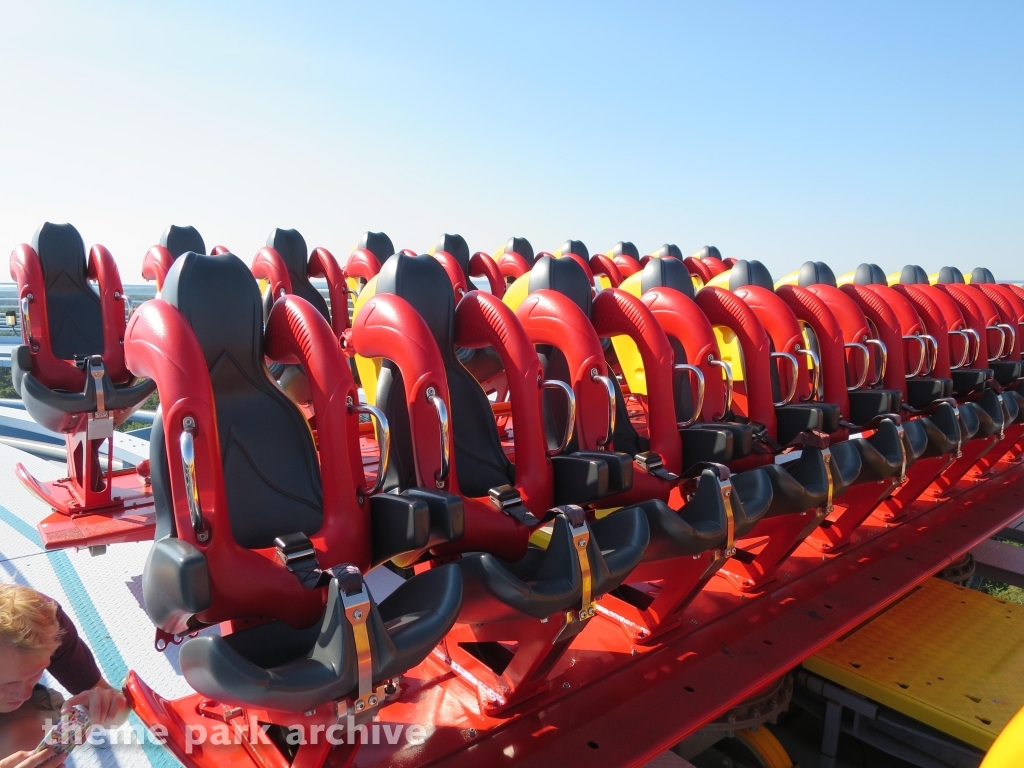 Griffon at Busch Gardens Williamsburg