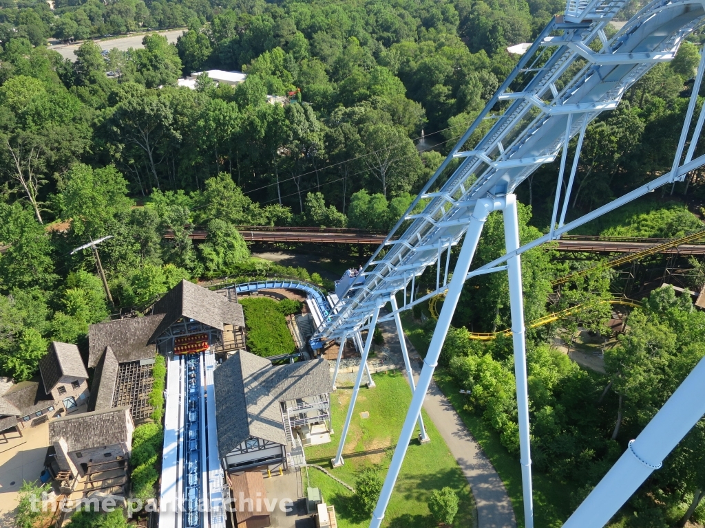 Griffon at Busch Gardens Williamsburg