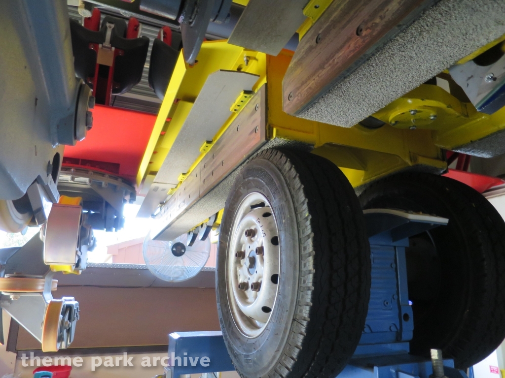 Griffon at Busch Gardens Williamsburg