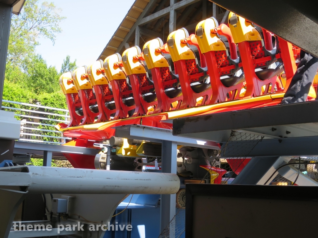 Griffon at Busch Gardens Williamsburg