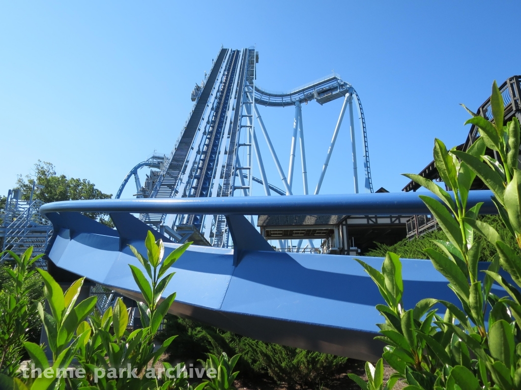 Griffon at Busch Gardens Williamsburg
