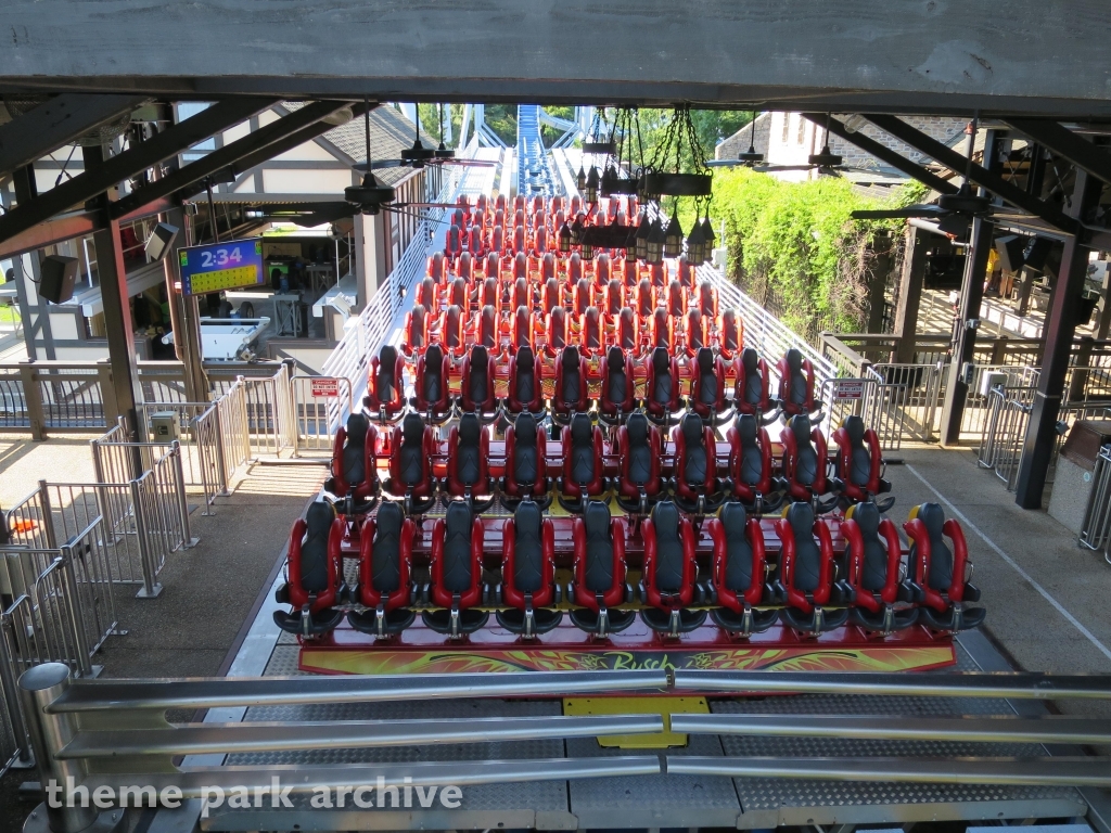 Griffon at Busch Gardens Williamsburg