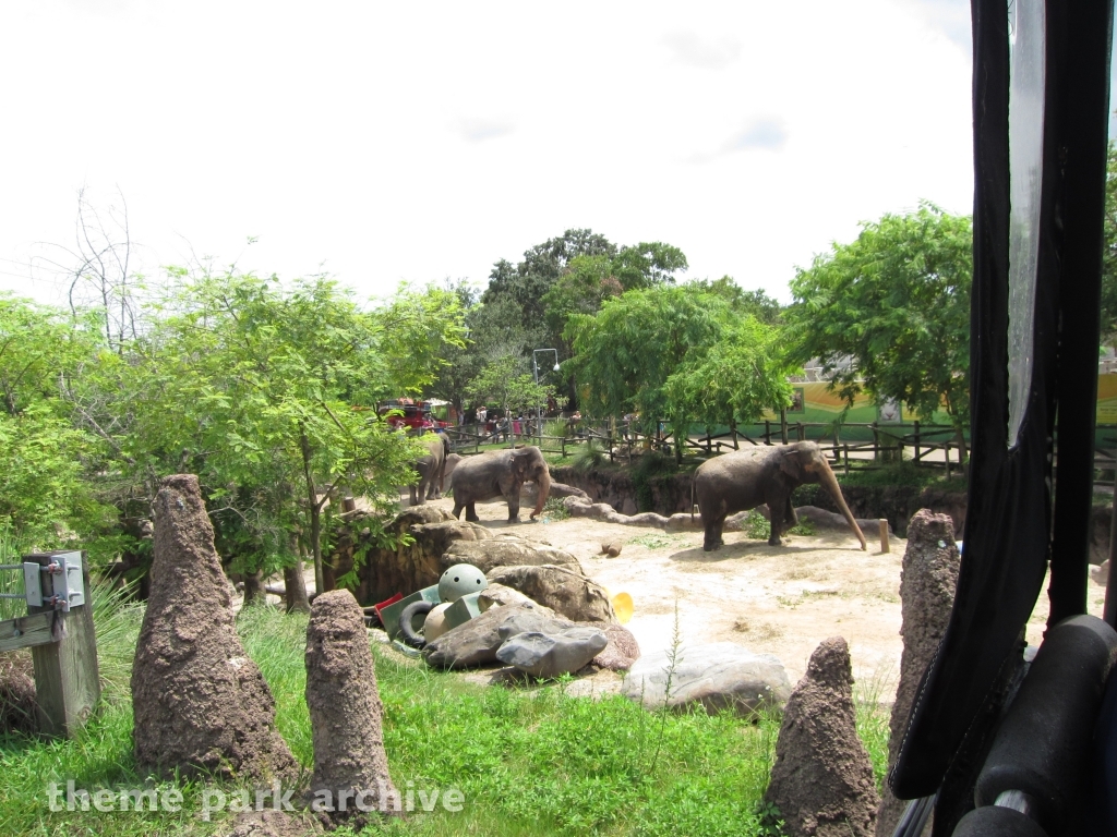 Rhino Rally at Busch Gardens Tampa