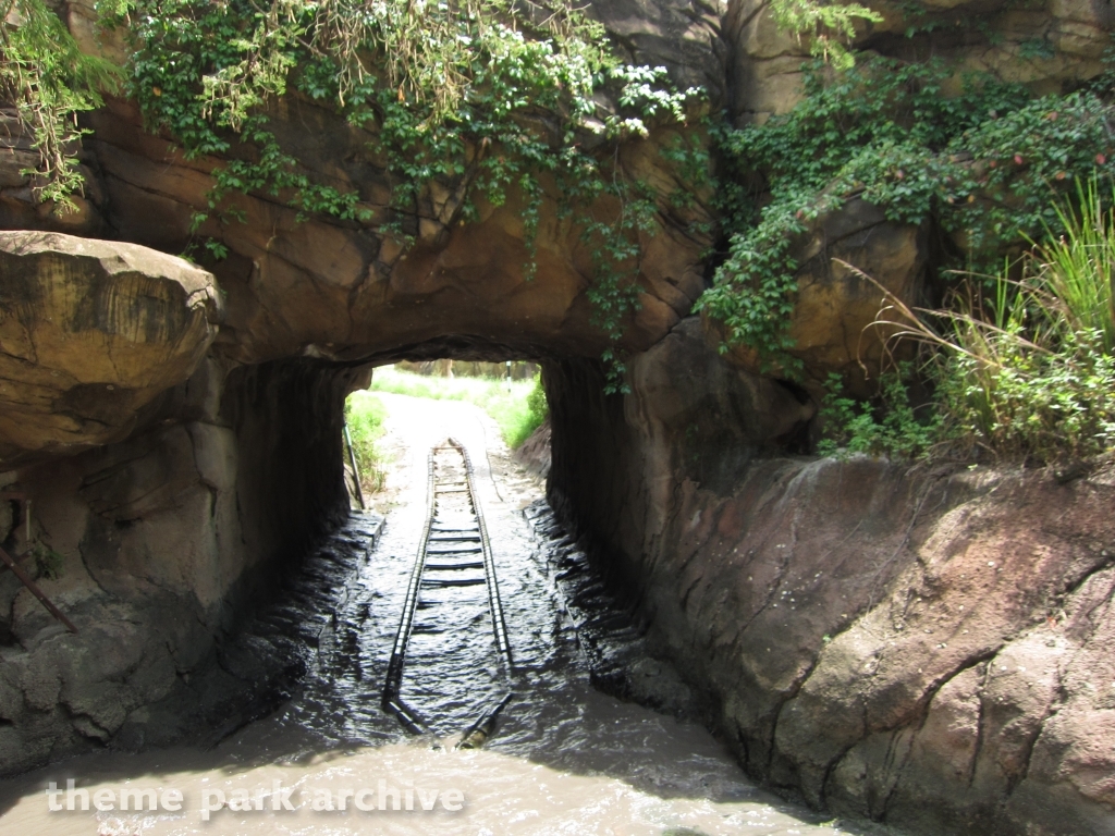Rhino Rally at Busch Gardens Tampa
