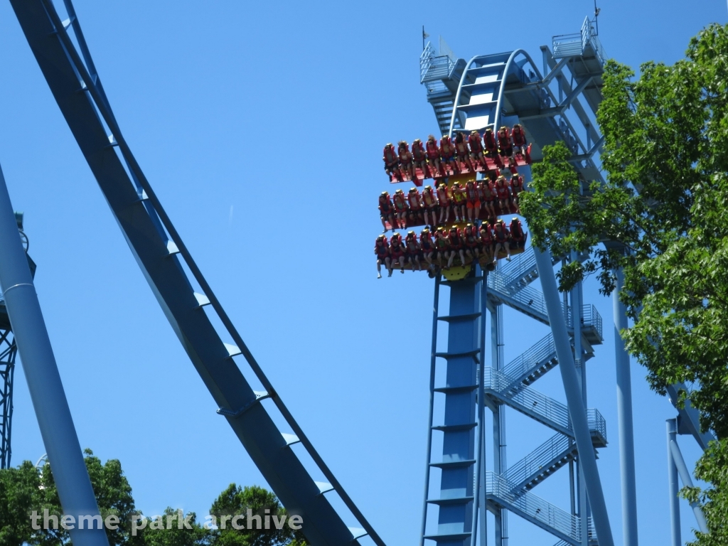 Griffon at Busch Gardens Williamsburg