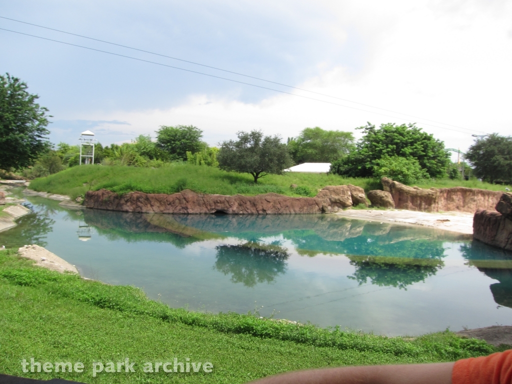Rhino Rally at Busch Gardens Tampa