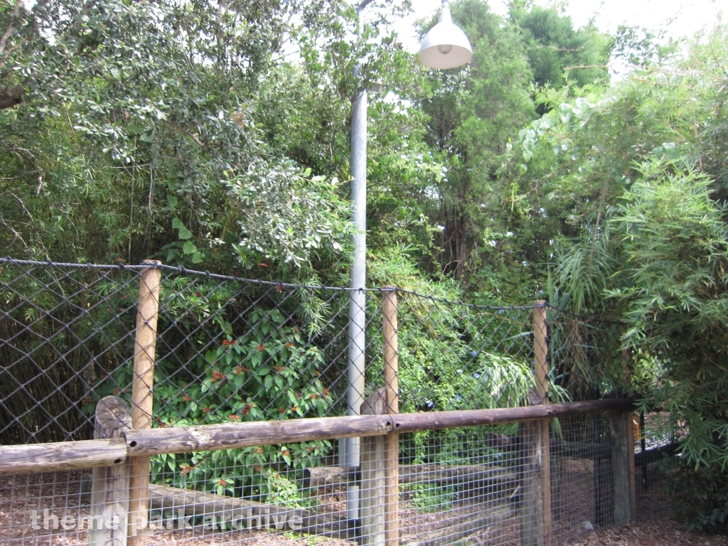 Rhino Rally at Busch Gardens Tampa