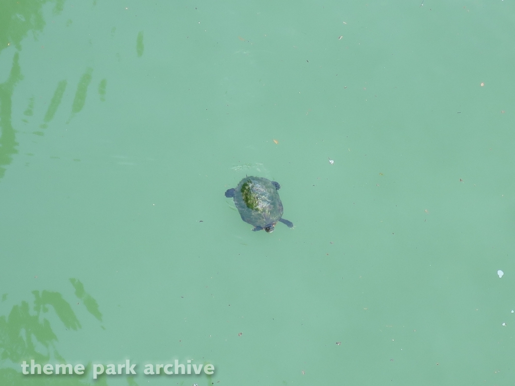 River Rhine Cruise at Busch Gardens Williamsburg