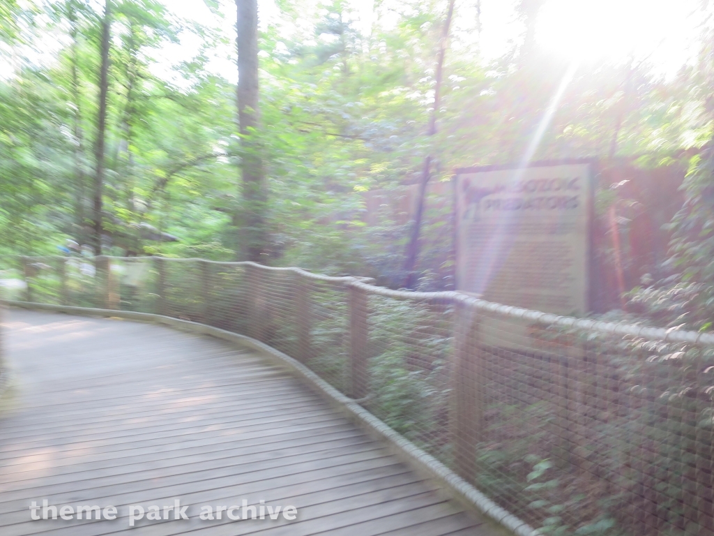 Dinosaurs Alive at Kings Dominion