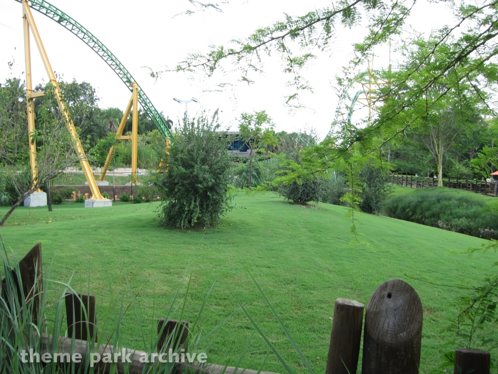 Cheetah Hunt at Busch Gardens Tampa