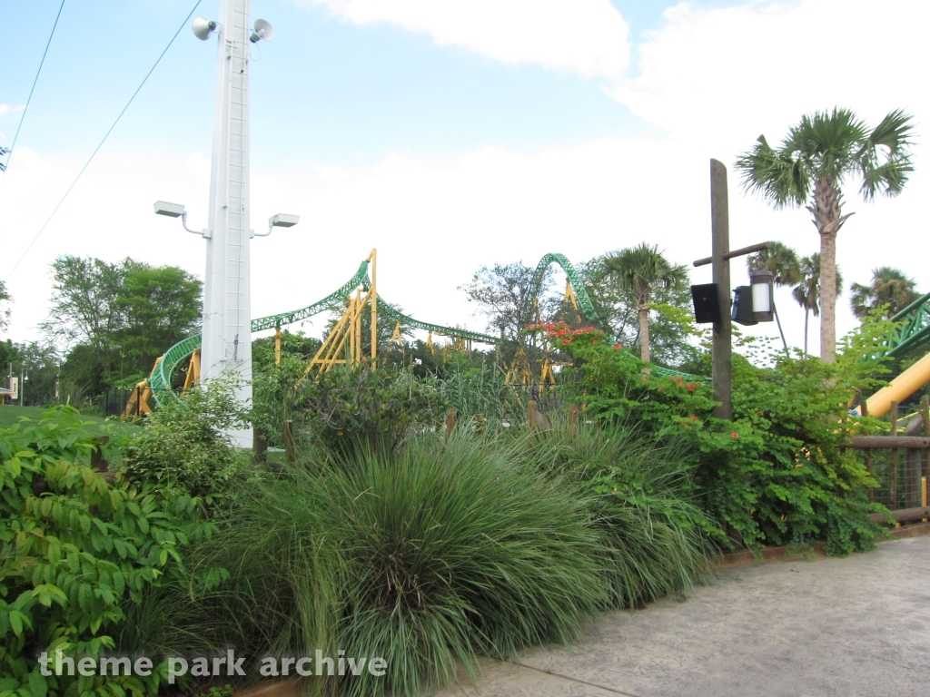 Cheetah Hunt at Busch Gardens Tampa