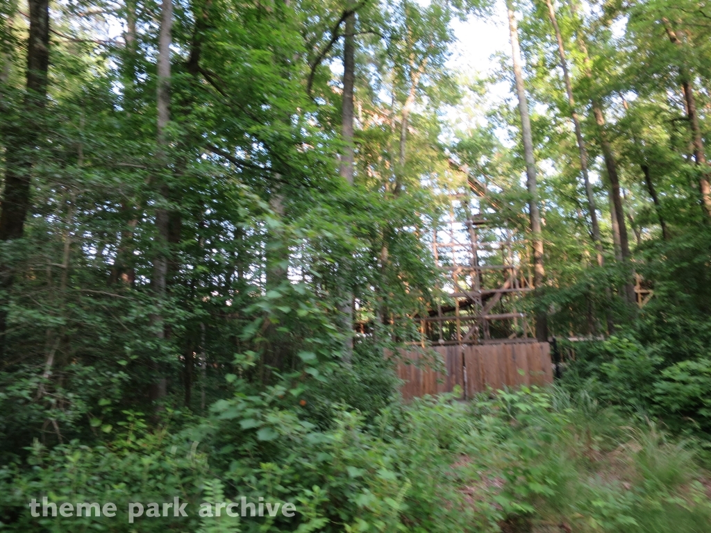 Grizzly at Kings Dominion