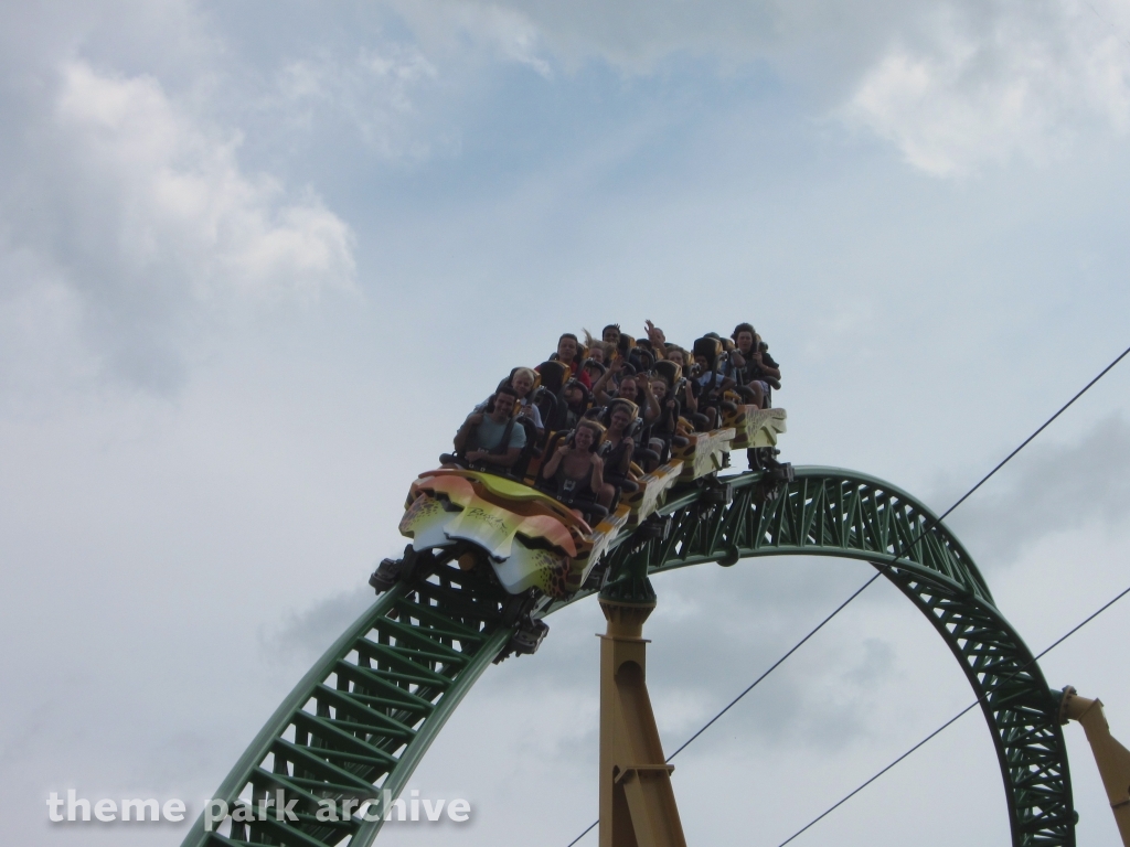 Cheetah Hunt at Busch Gardens Tampa