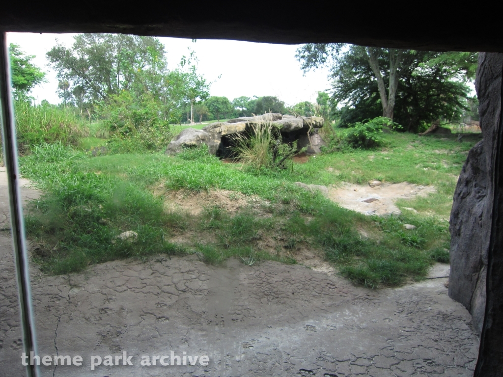Nairobi at Busch Gardens Tampa