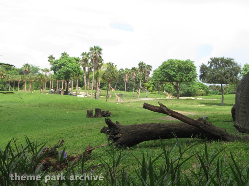 Nairobi at Busch Gardens Tampa