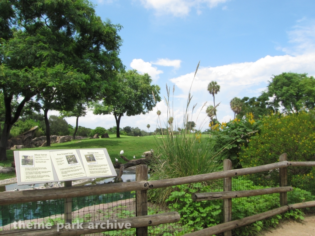 Timbuktu at Busch Gardens Tampa