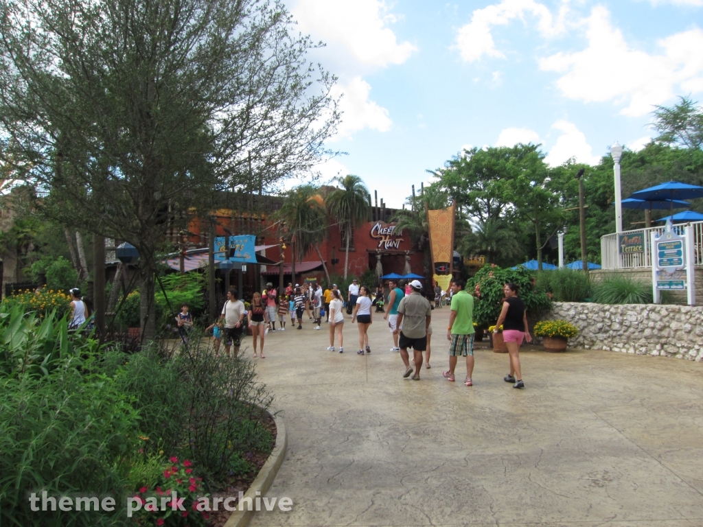 Cheetah Hunt at Busch Gardens Tampa
