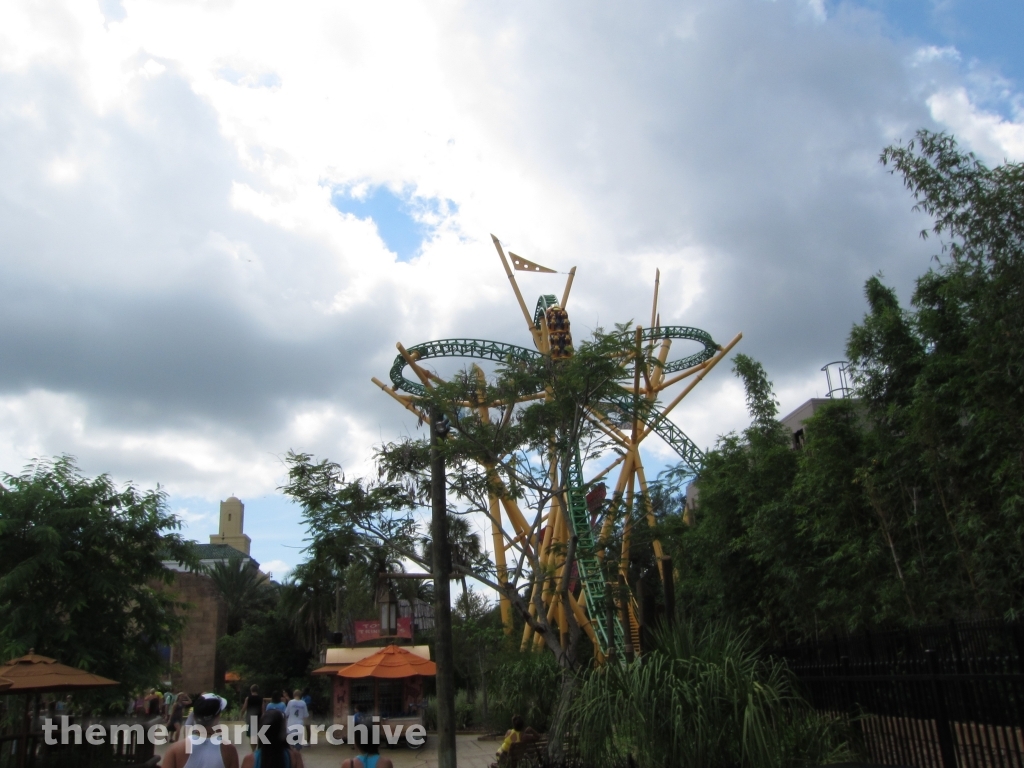 Cheetah Hunt at Busch Gardens Tampa
