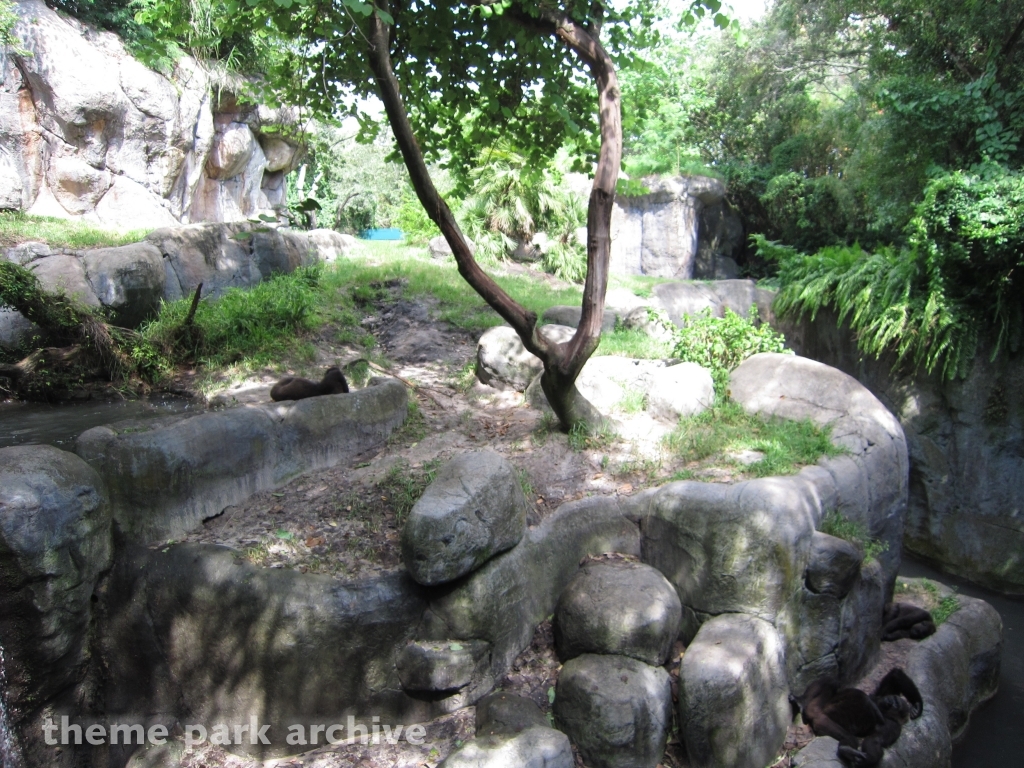 Nairobi at Busch Gardens Tampa