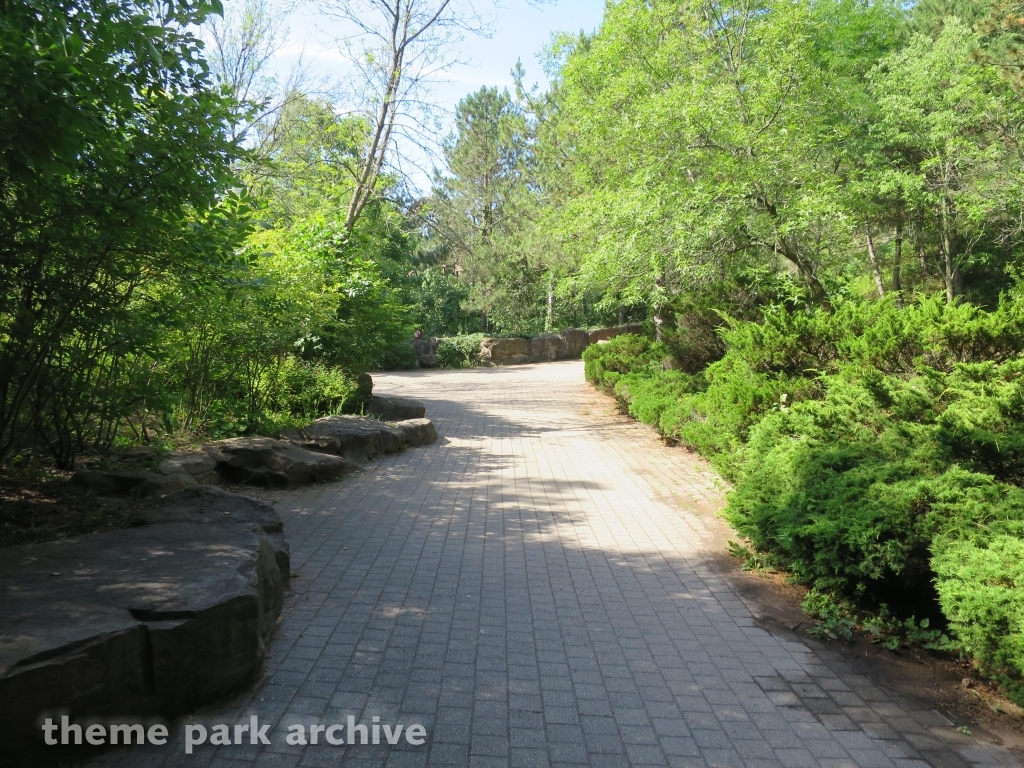 Dragon Mountain at Marineland