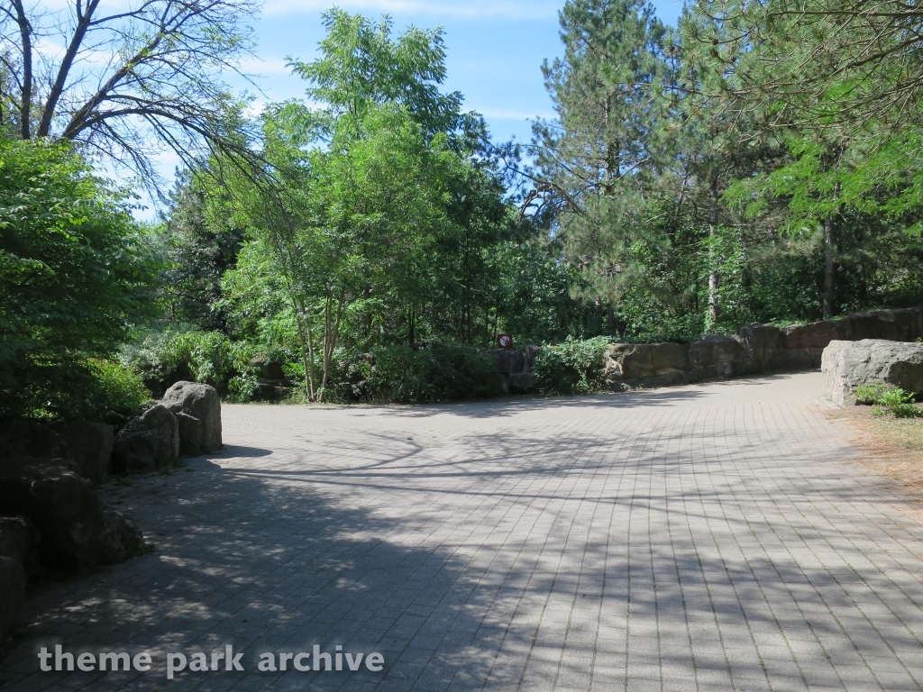 Dragon Mountain at Marineland