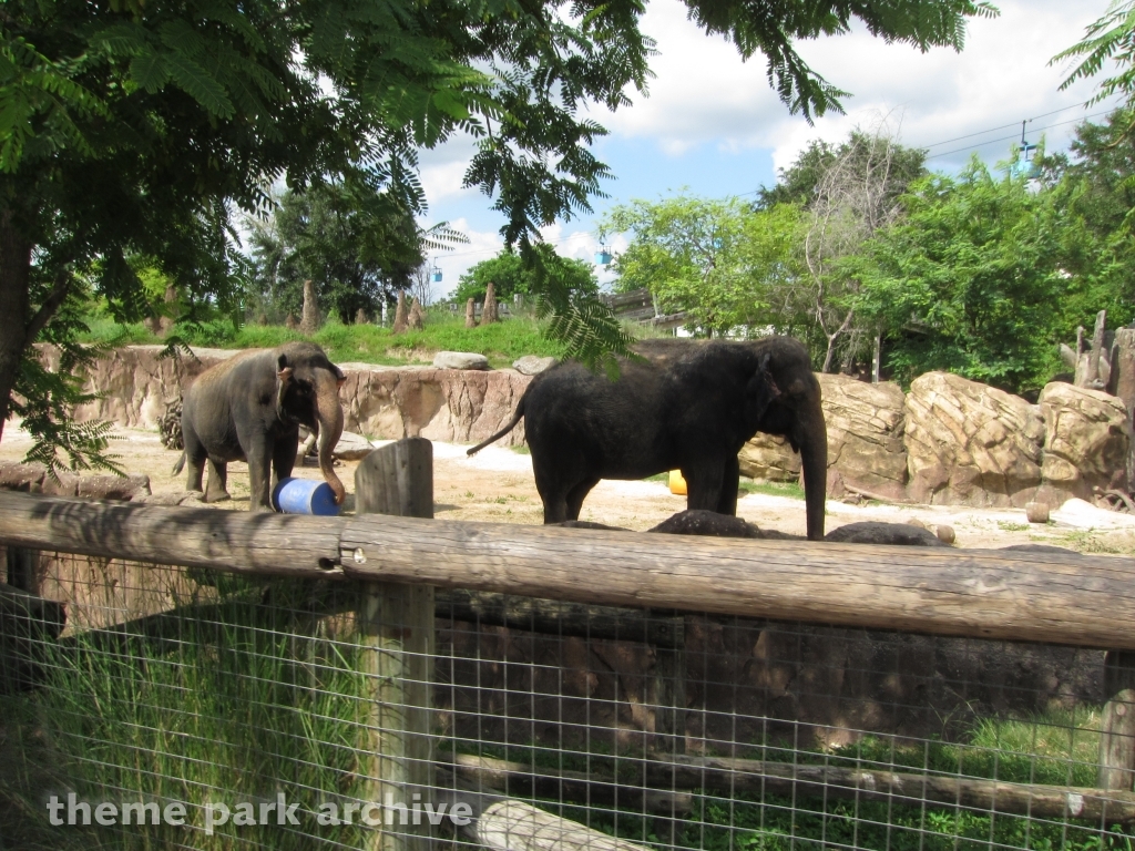 Nairobi at Busch Gardens Tampa