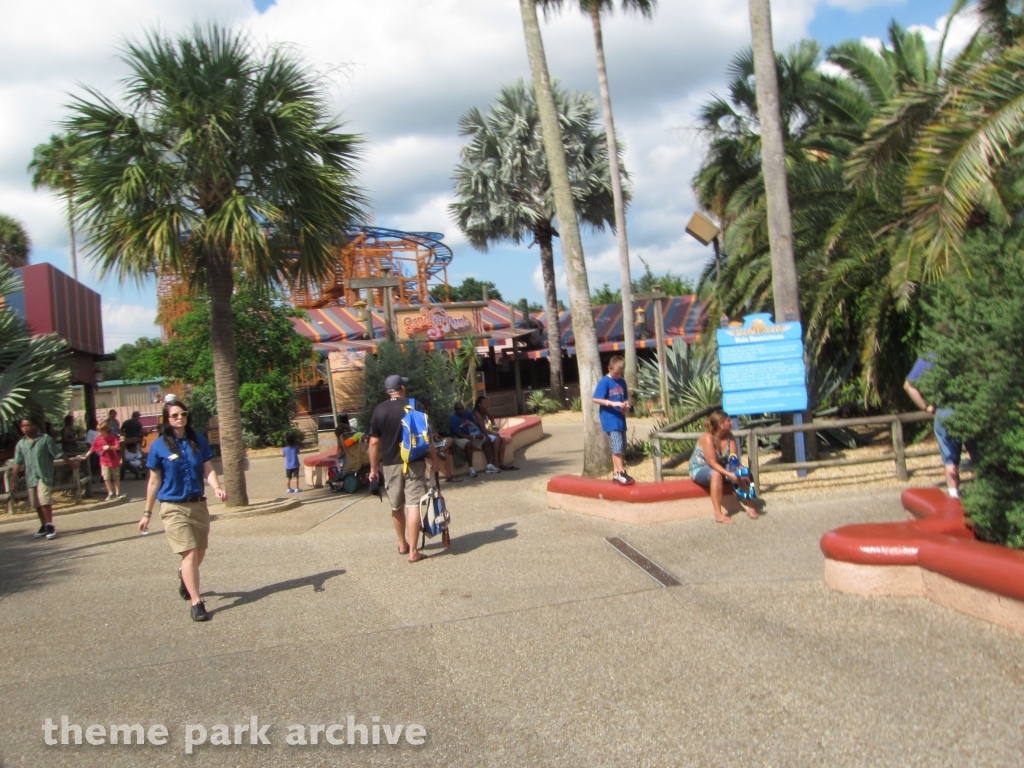 Timbuktu at Busch Gardens Tampa