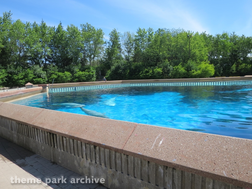 Friendship Cove at Marineland