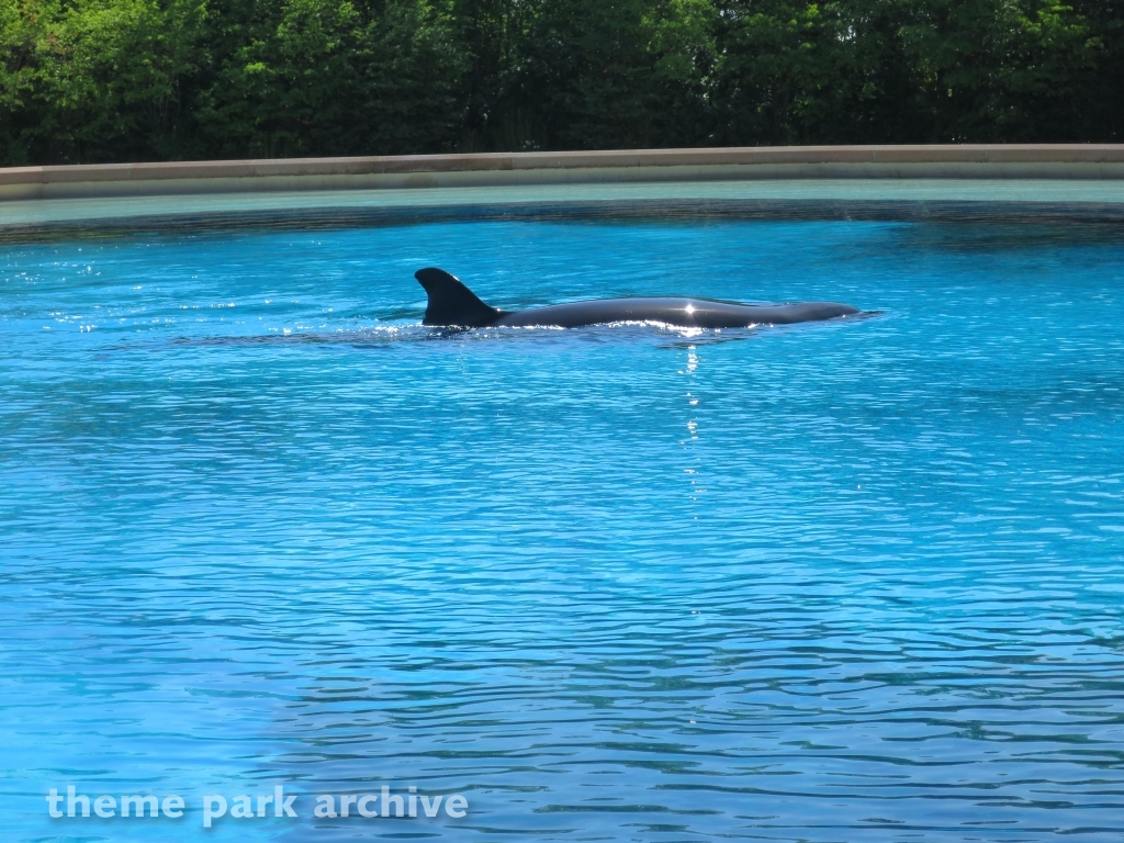 Friendship Cove at Marineland
