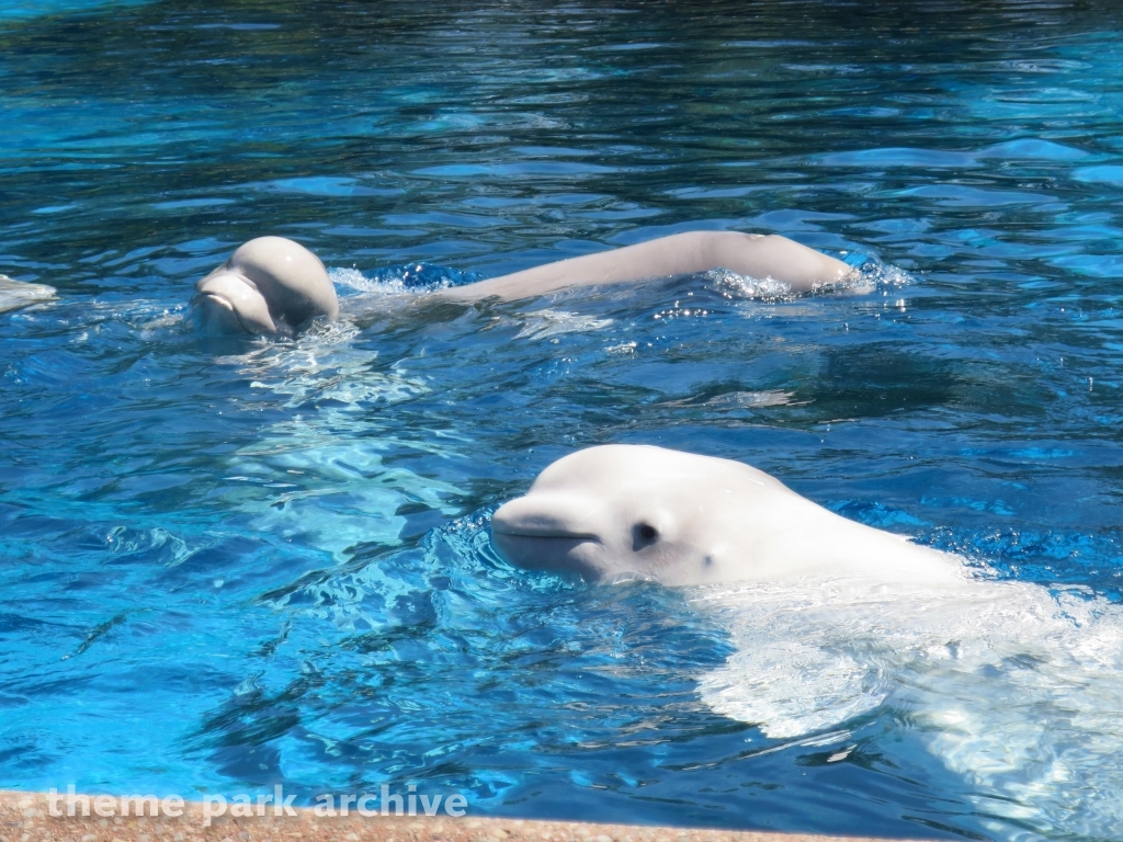 Friendship Cove at Marineland