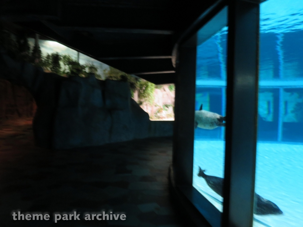 Aquarium at Marineland